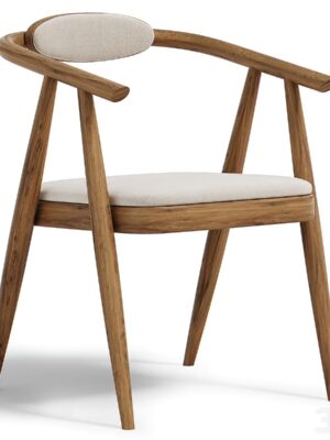 Modern Wooden Dining Chair -ElegaSeat